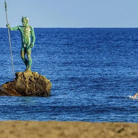 Taliarte Vibbecanarias