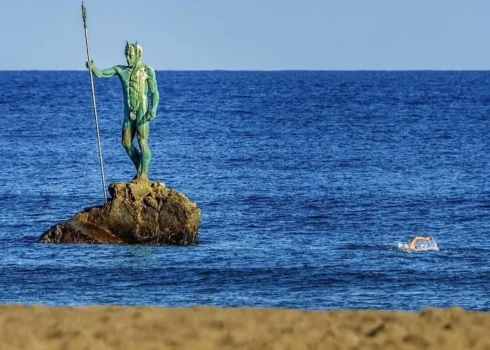 Taliarte Vibbecanarias