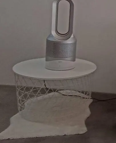 Taliarte Vibbecanarias *